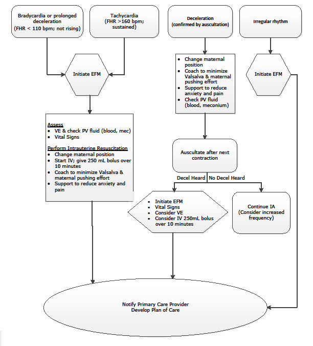 Intermittent Auscultation Procedure Fraser Health Authority