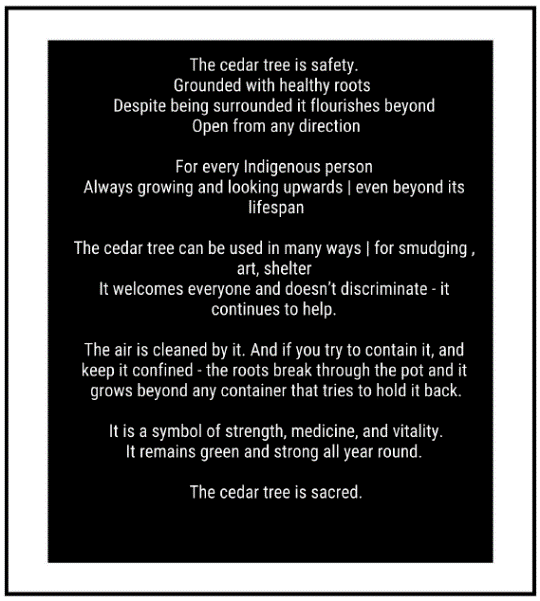The cedar tree is safety. Grounded with healthy roots despite being surrounded it flourishes open from any direction. For every Indigenous person always growing and looking upwards even beyond its lifespan. The cedar tree can be used in many ways, for smudging, art, shelter. It welcomes everyone and doesn't discriminate - it continues to help. The air is cleaned by it. And if you try to contain it, and keep it confined - the roots break through the pot and it grows beyond any container that tries to hold it back. It is a symbol of strength, medicine and vitality. It remains green and strong all year round. The cedar tree is sacred.