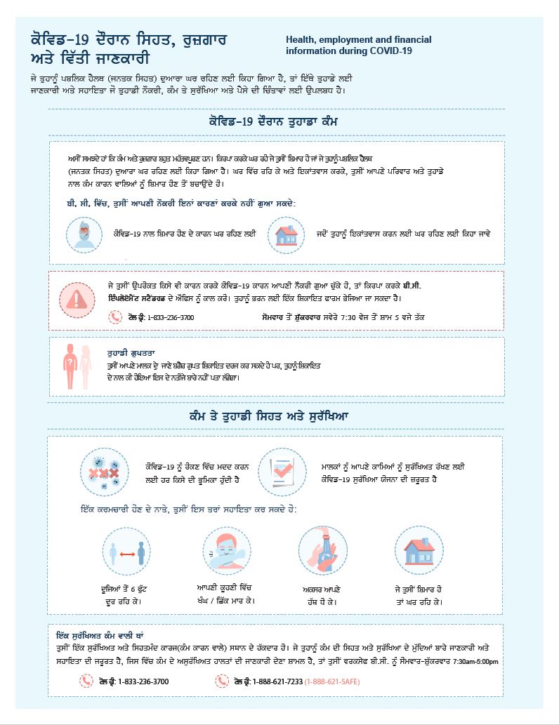 Punjabi info graphic on employment and financial information