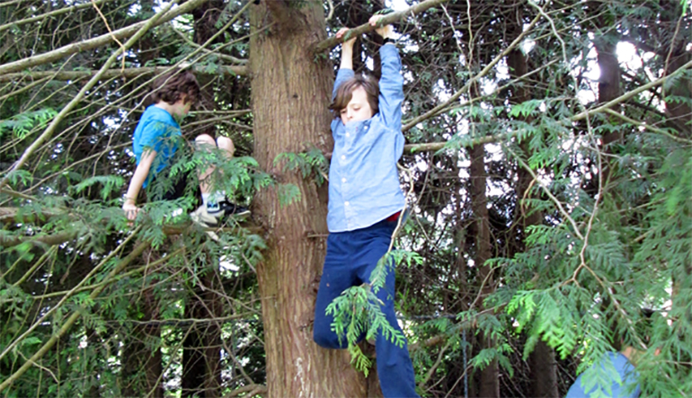 Take a chance at play