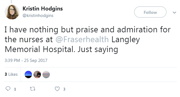 Screenshot of Kristin Hodgins' post on Twitter