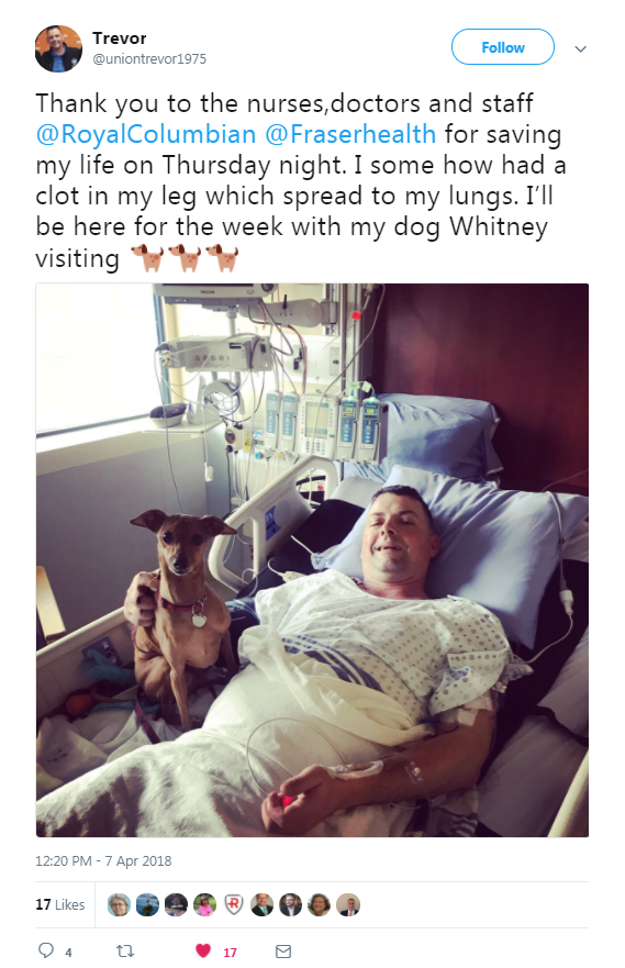 Screenshot of Trevor's post on Twitter