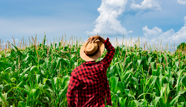 Person at a farm