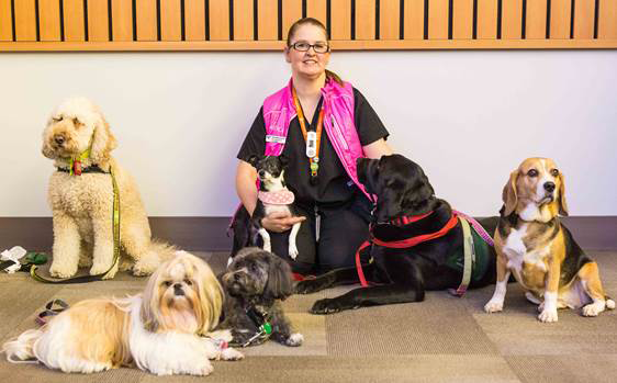 Rehabilitation assistant taking care of the puppies