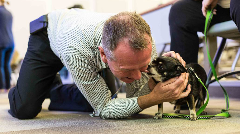 Man playing with a puppy