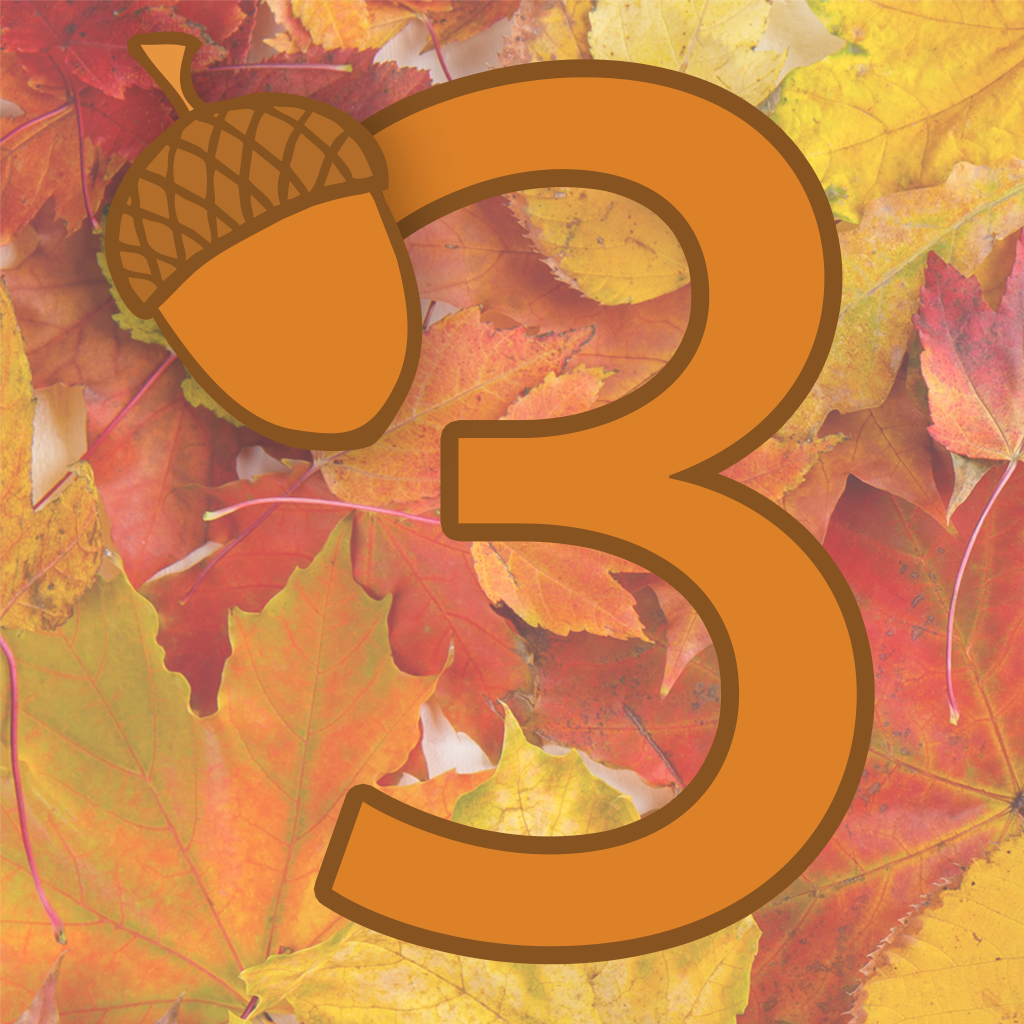 Number three with acorn at the bottom and leaves in the background