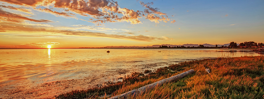 Delta wetlands at sunset