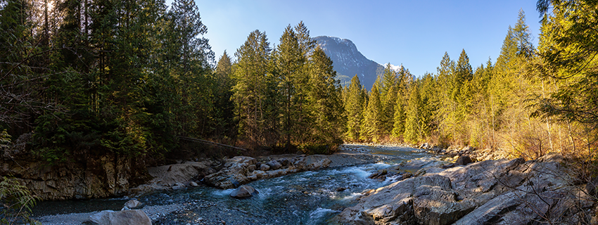 Maple Ridge river and forest in Golden Ears park