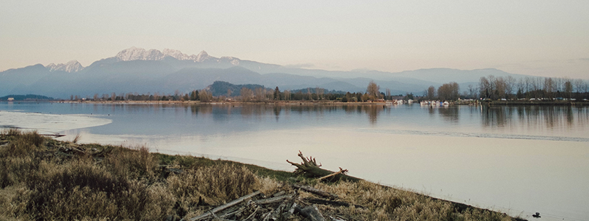 Pitt Meadows Fraser River waterfront