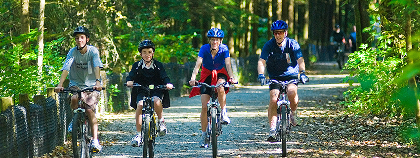 Port Coquitlam banner