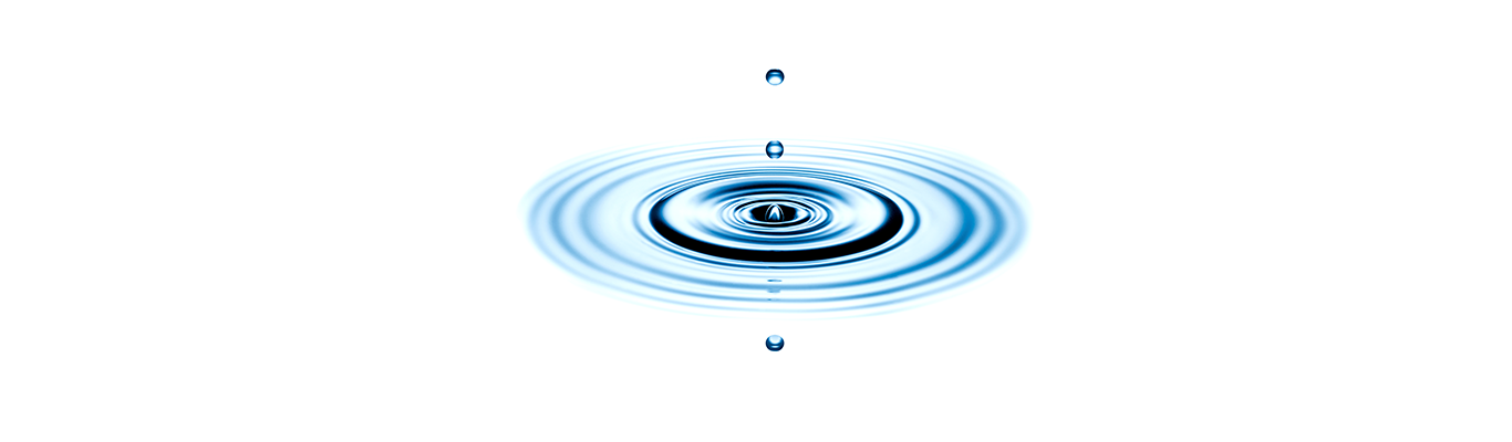 research and evaluation services