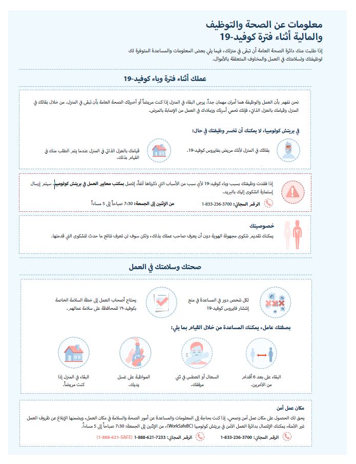 Arabic info graphic on employment and financial infomation