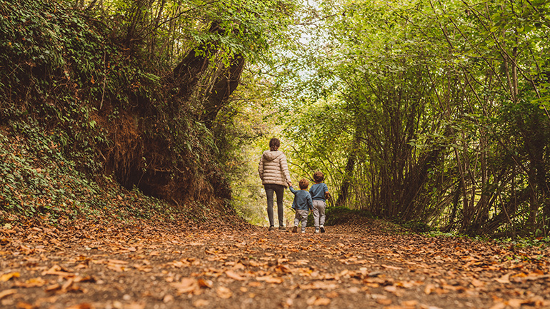 Mother and small sons walking on forest pathway, viewed from behind