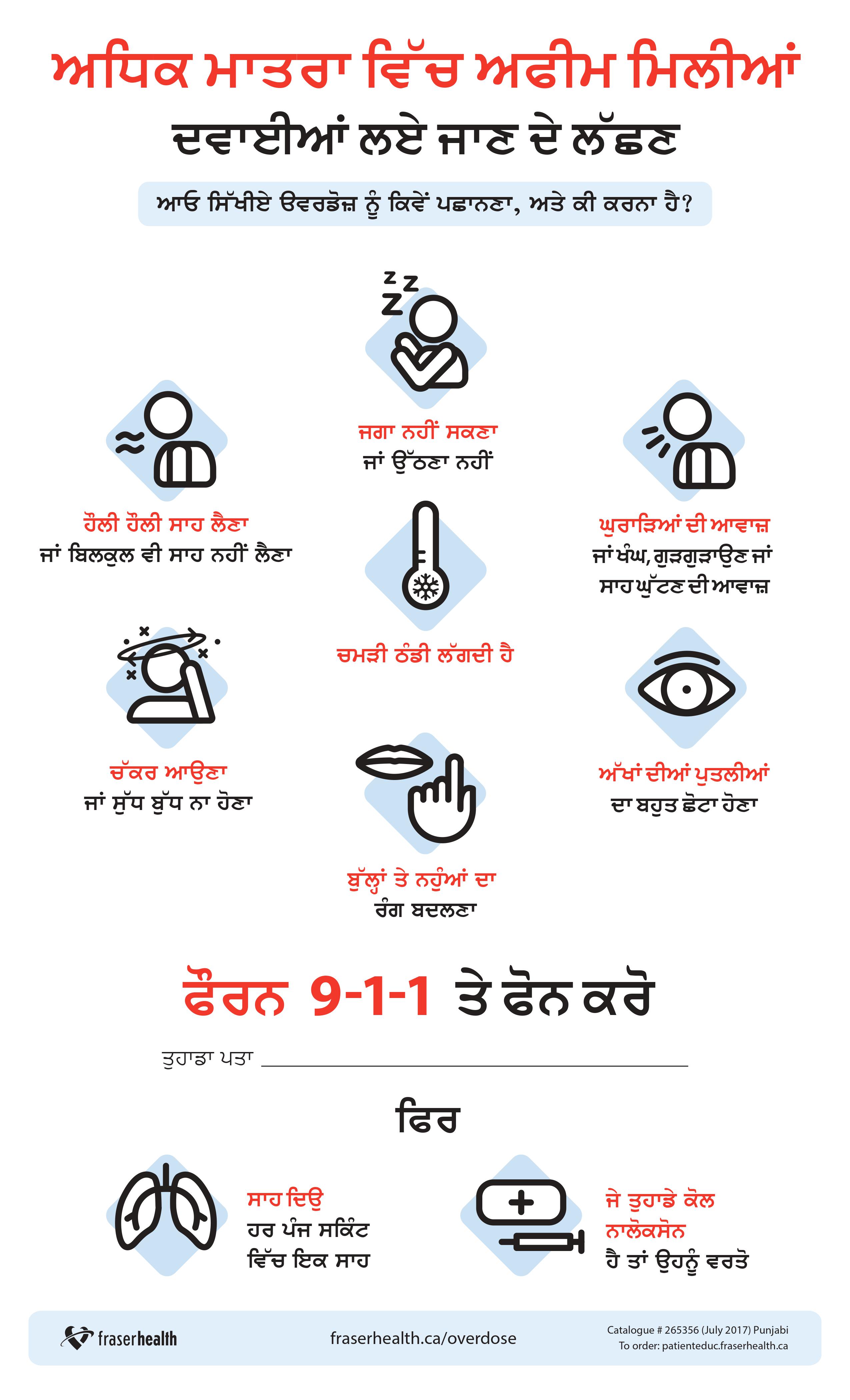 Signs of an overdose Poster in Punjabi