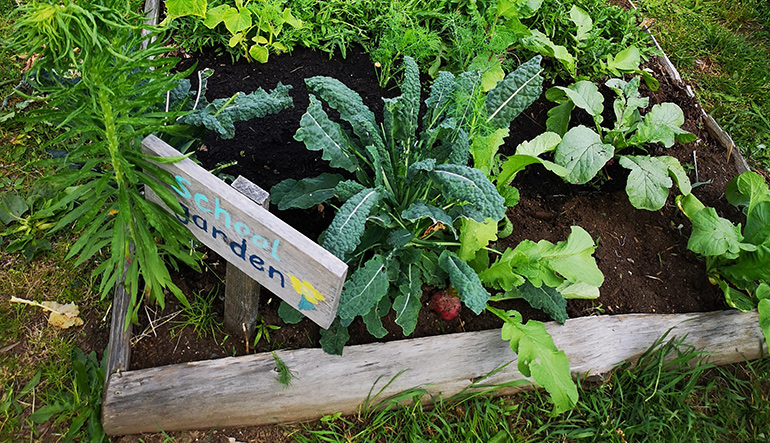 School garden at Ecole Mission Central Elementary