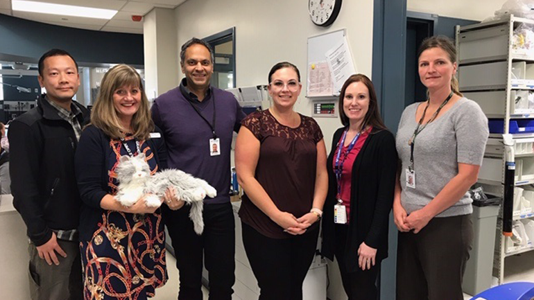 The Chilliwack General Hospital Senior Friendly ER team: (left to right) Dr. Shelter Lee, Laura Clarke, Geriatric Nurse Clinician, Dr. Ritesh Parekh, Kimberley Choi, Manager of Clinical Operations, ER, Amanda McKnight, Clinical Nurse Specialist, Corrie Ouellette, Geriatric Nurse Clinician.