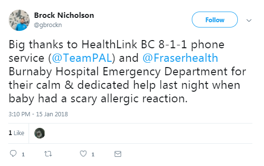 Screenshot of Brock Nicholson's post on Twitter