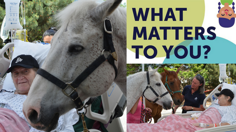 What Matters to You Banner